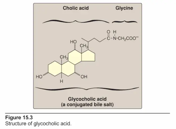 ساختار گلیکولیک اسید | مد اسمارت