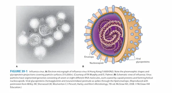 ویروس آنفولانزا | مد اسمارت