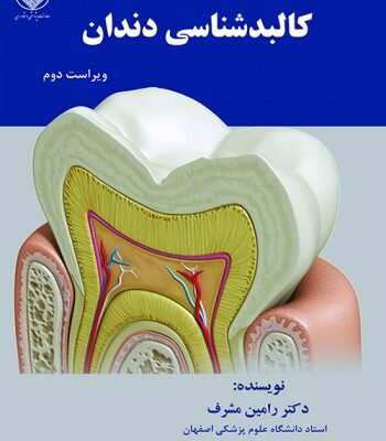 کالبدشناسی دندان