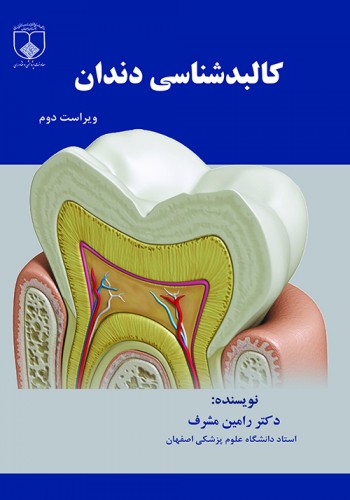کالبدشناسی دندان